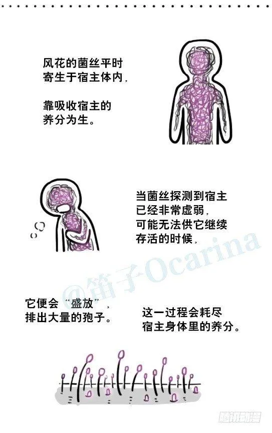 197 花吐症 第56页