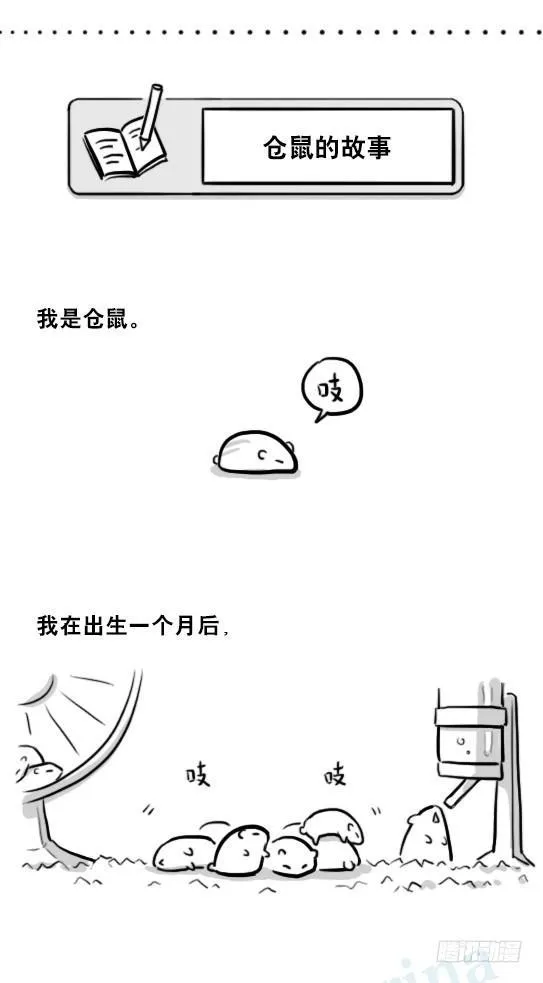216 纪念物（上） 第26页