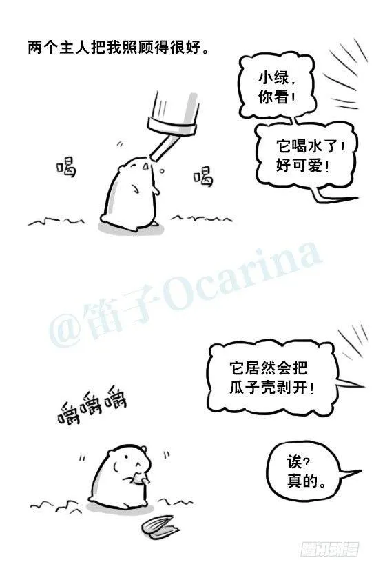 216 纪念物（上） 第30页