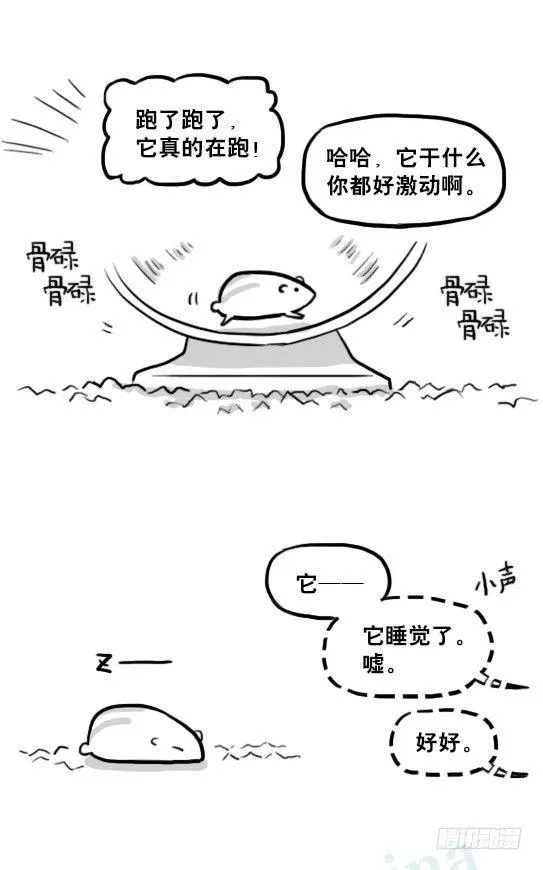 216 纪念物（上） 第31页