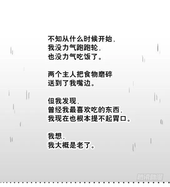 216 纪念物（上） 第34页