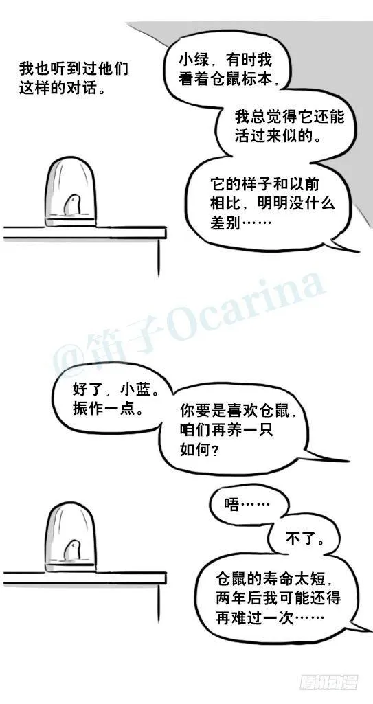 216 纪念物（上） 第54页