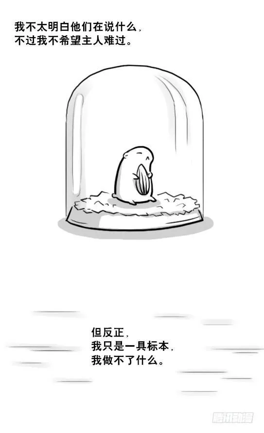 216 纪念物（上） 第55页