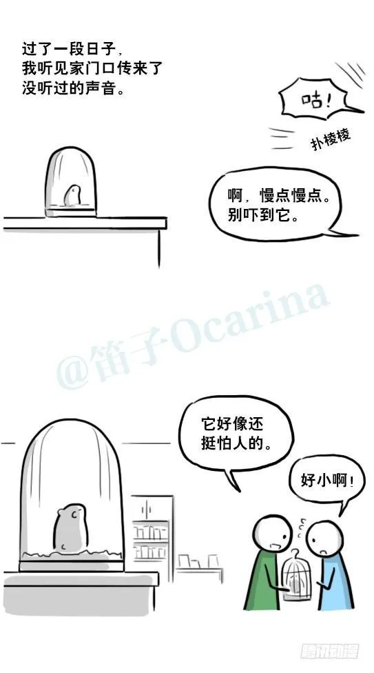 216 纪念物（上） 第56页