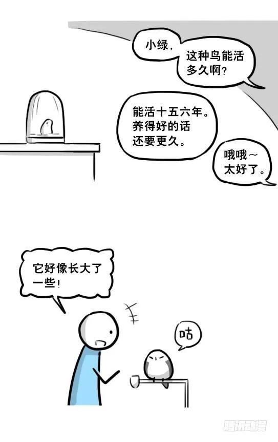216 纪念物（上） 第58页