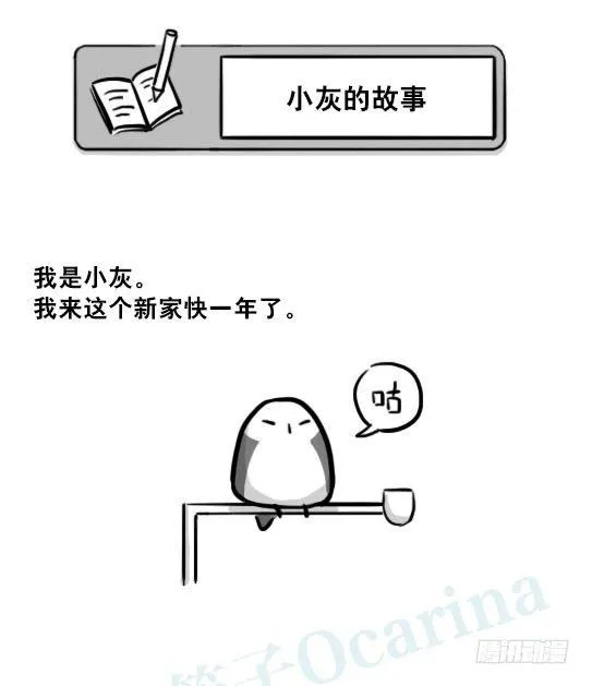 216 纪念物（上） 第63页