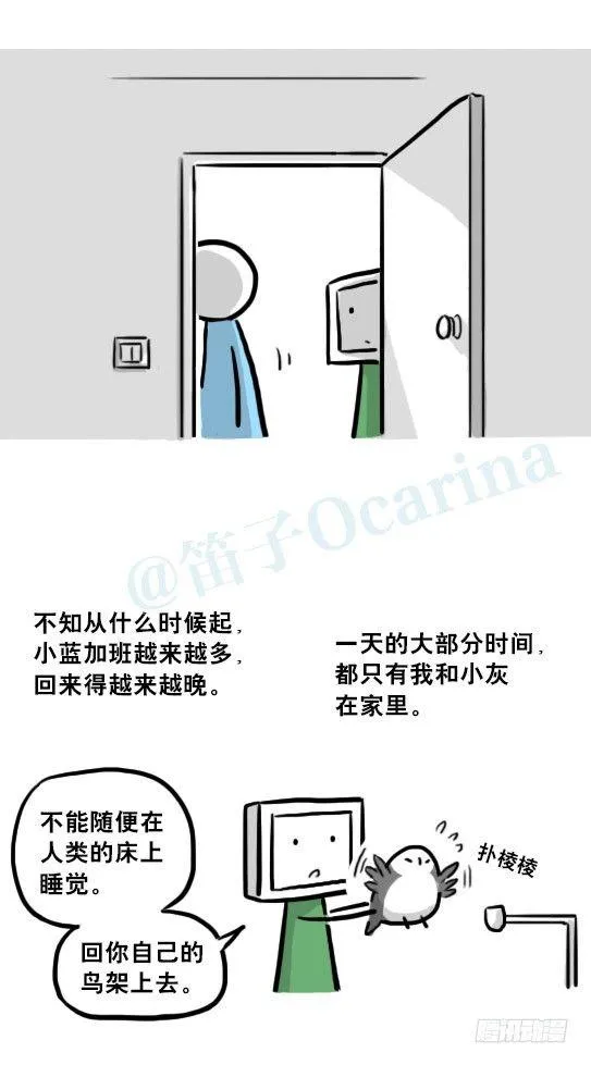 217 纪念物（下） 第80页