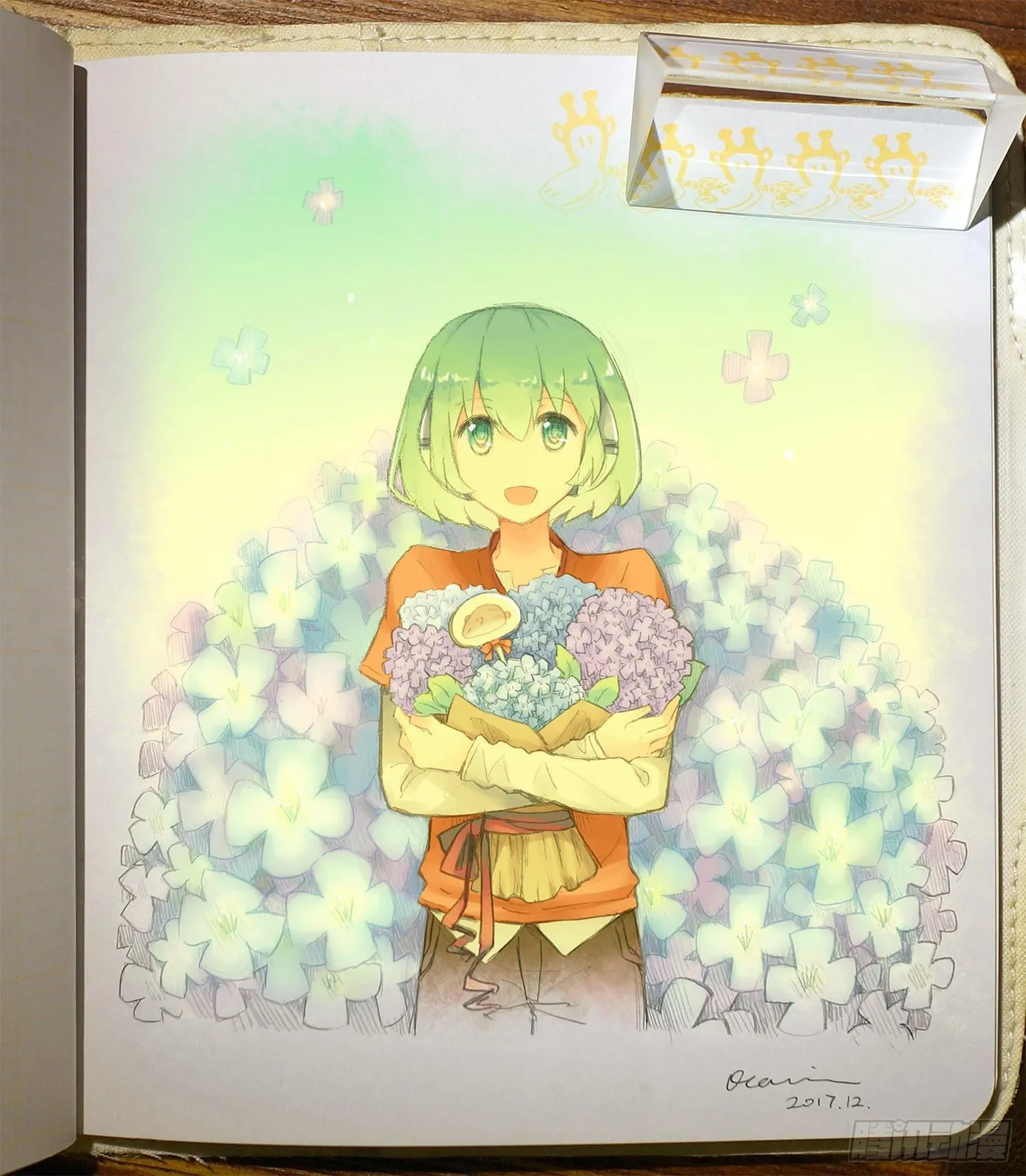 246 机绿生日 第7页