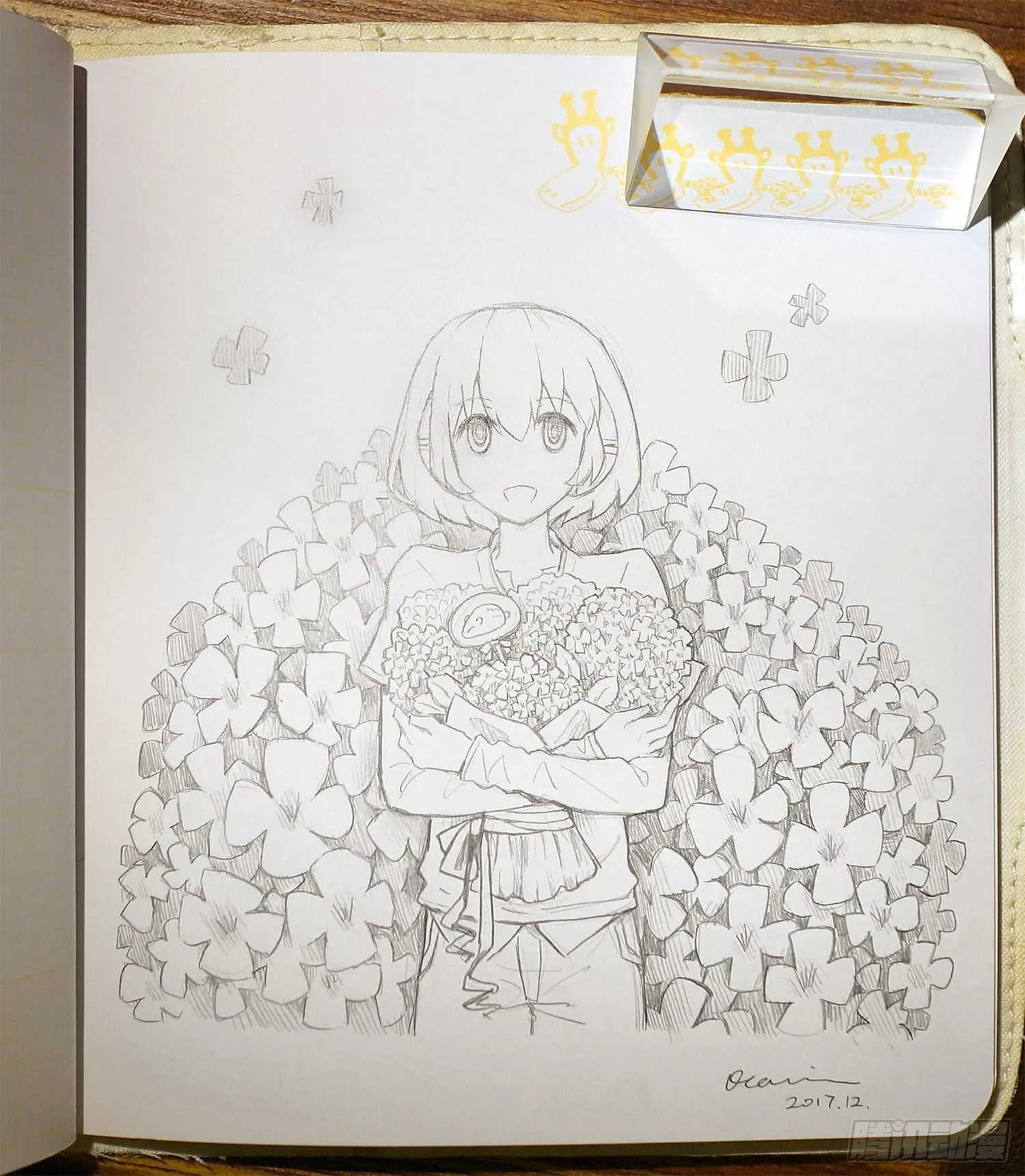 246 机绿生日 第8页