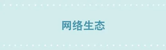 250 网络生态 第1页