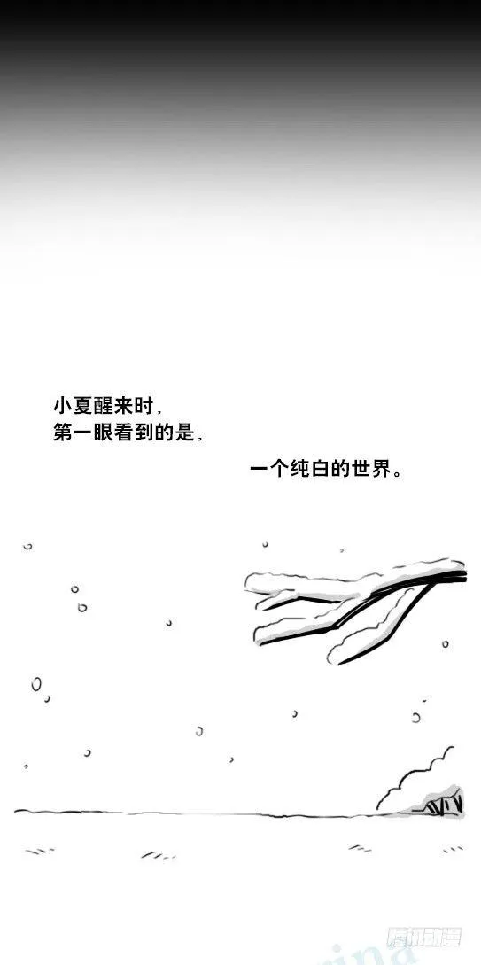251 冬与夏 第41页