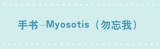 258 手书-Myosotis 第1页