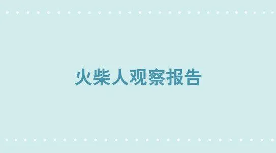 265 火柴人观察报告 第1页