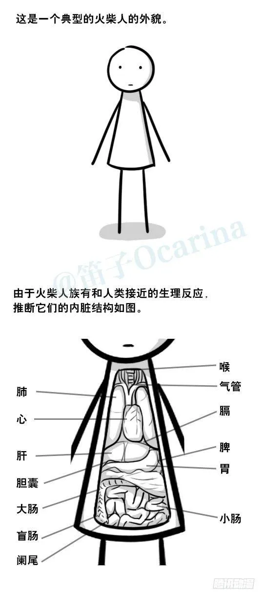 265 火柴人观察报告 第2页