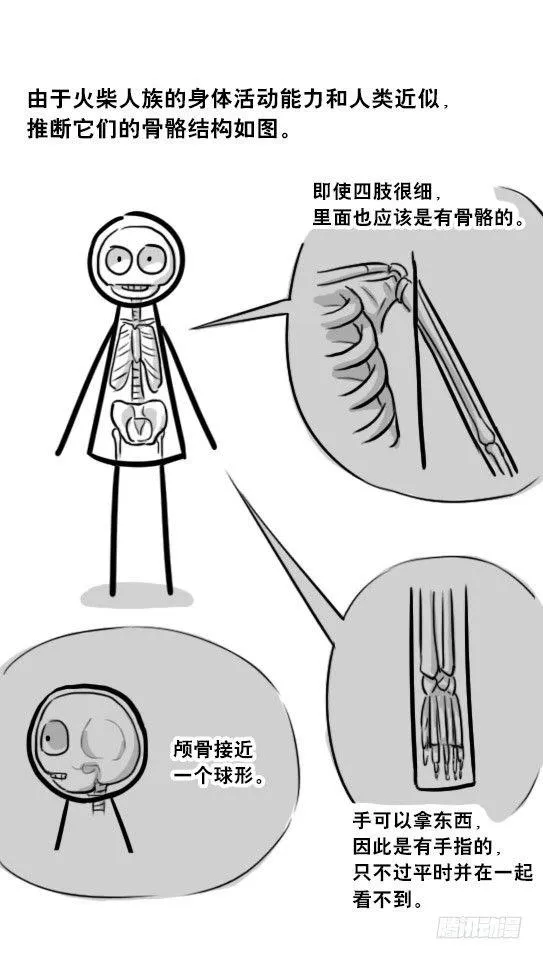 265 火柴人观察报告 第3页