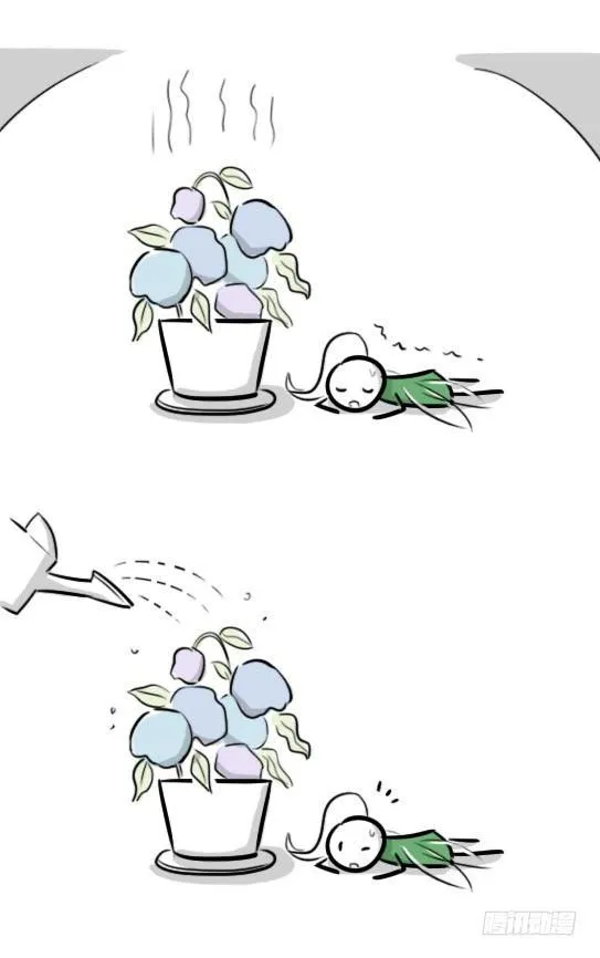 269 为你而开的花 第54页