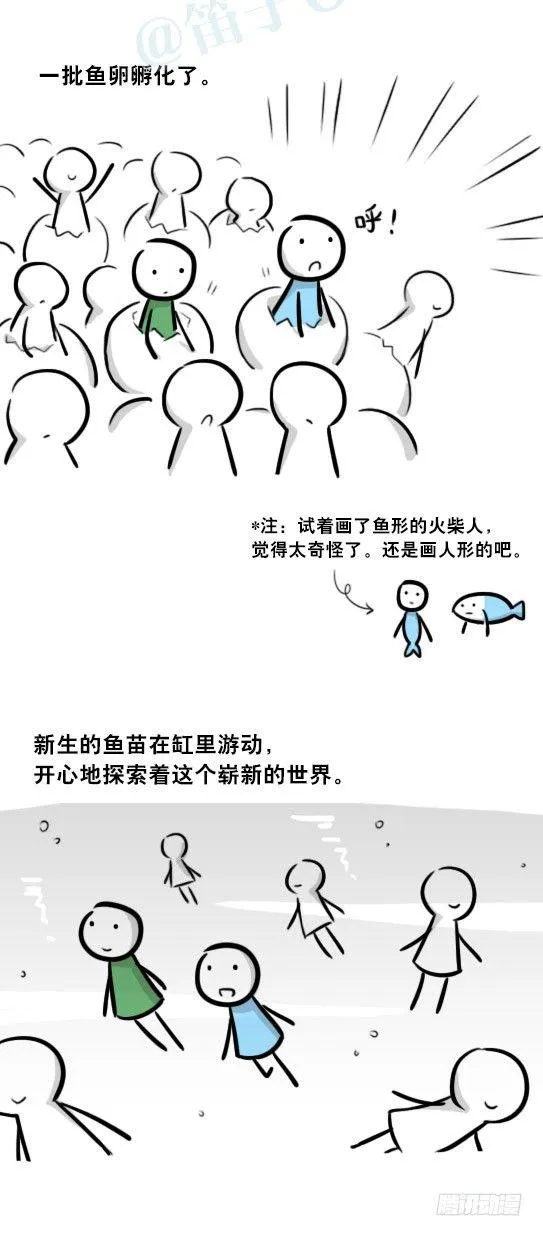 279 鱼 第4页