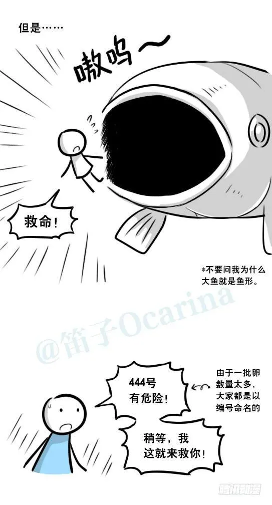 279 鱼 第5页