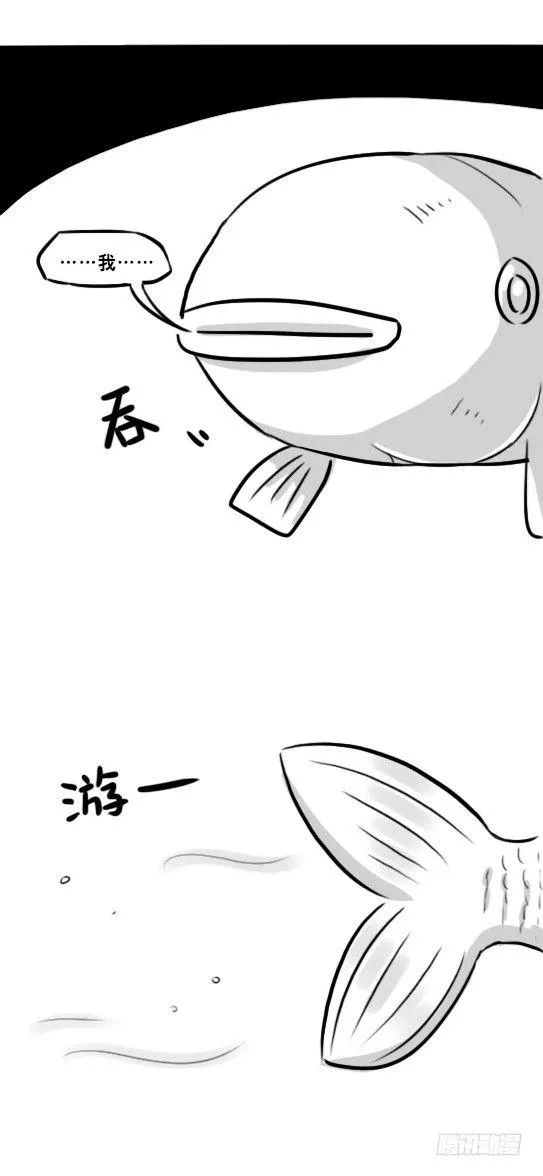279 鱼 第7页
