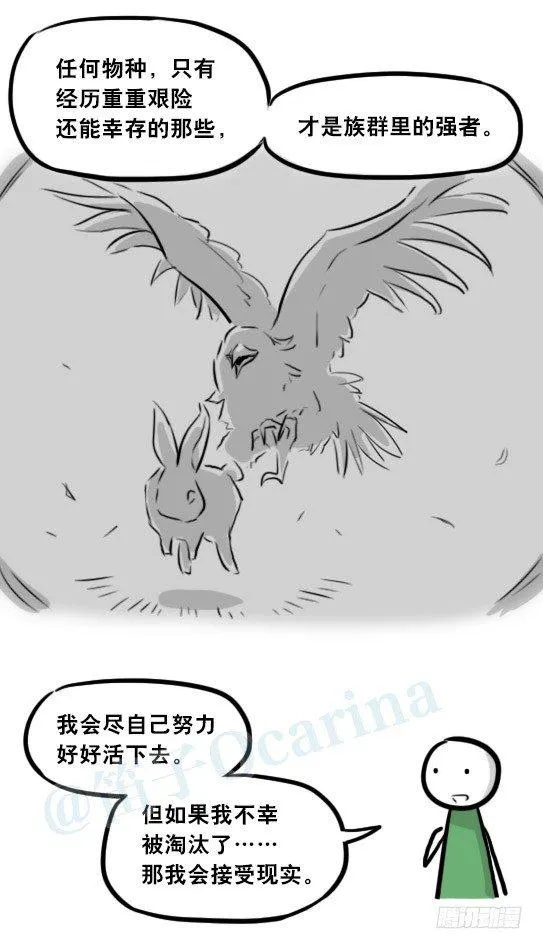 279 鱼 第19页