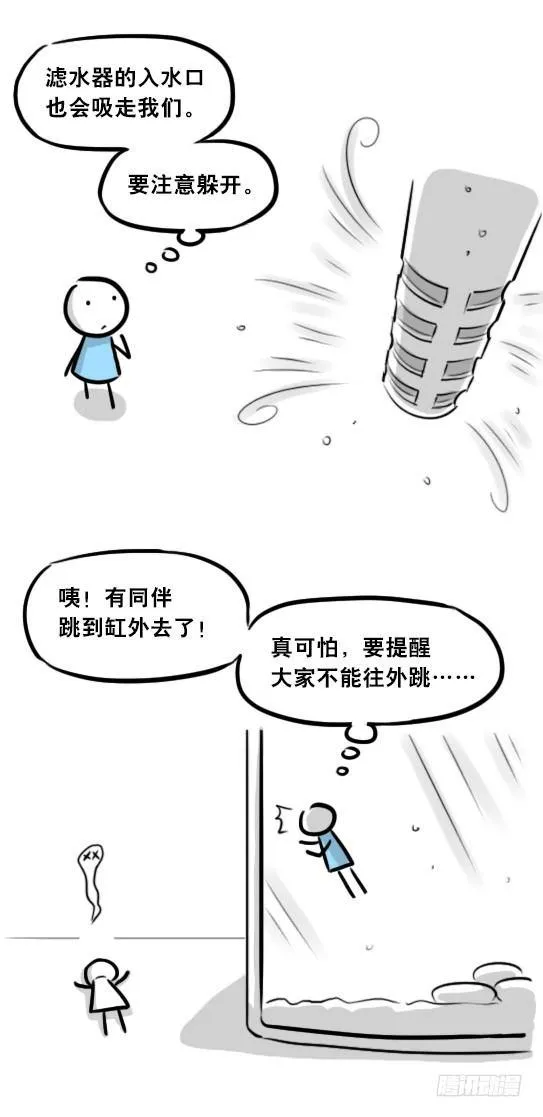 279 鱼 第24页