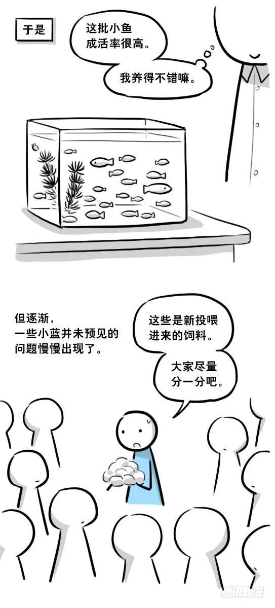 279 鱼 第28页