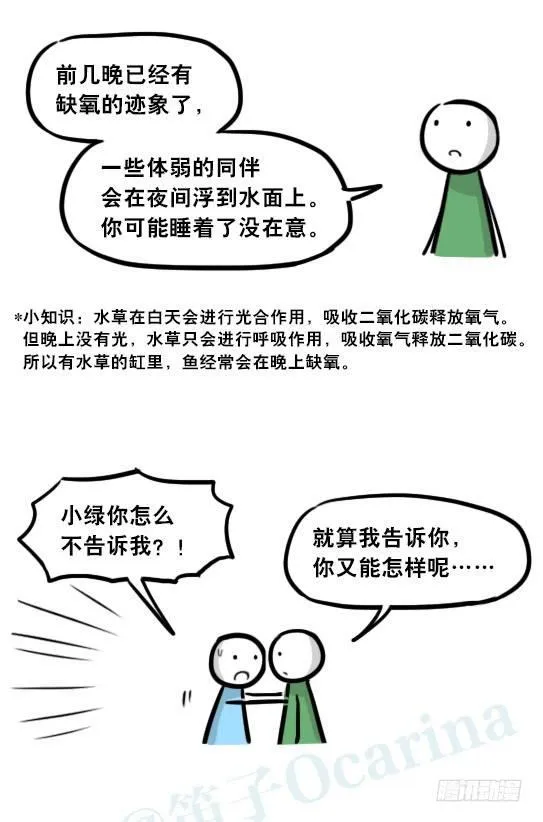 279 鱼 第40页
