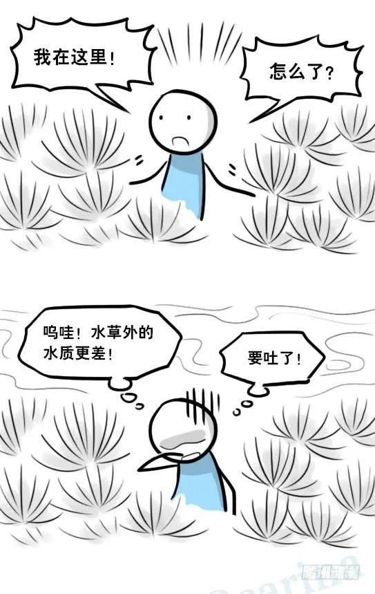 279 鱼 第53页