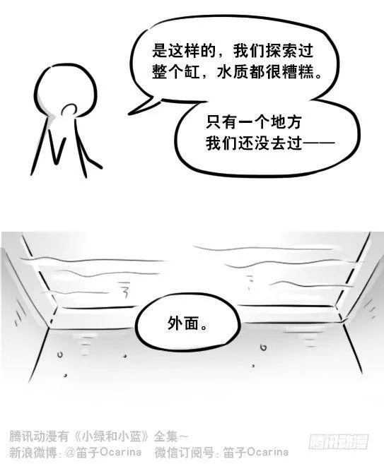 279 鱼 第57页