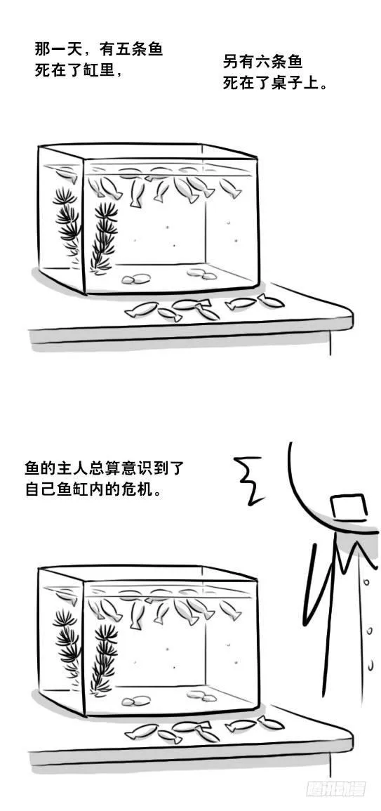 279 鱼 第61页