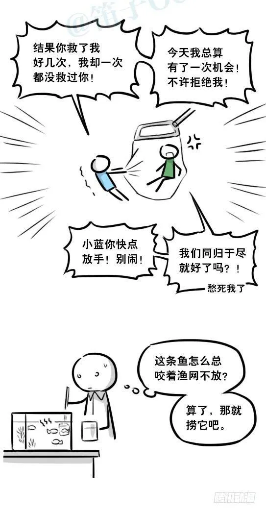 279 鱼 第74页
