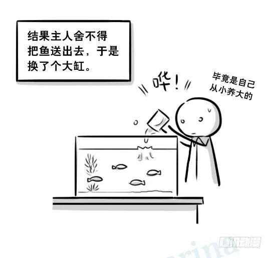 279 鱼 第84页