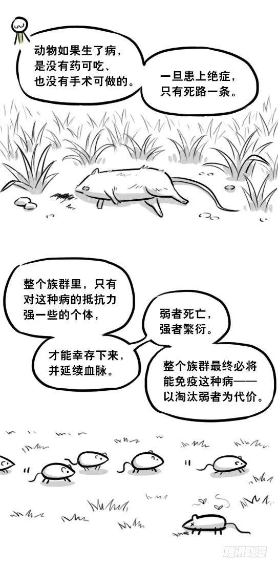 281 法外之地 第74页