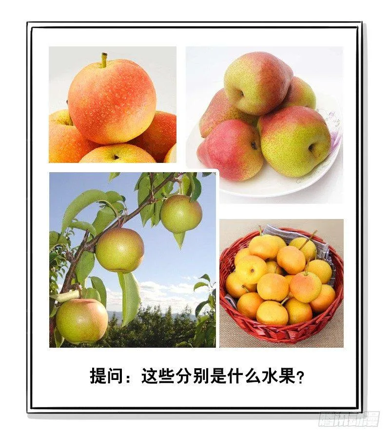294 动画吐槽05 第14页
