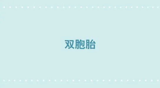 308 双胞胎 第1页