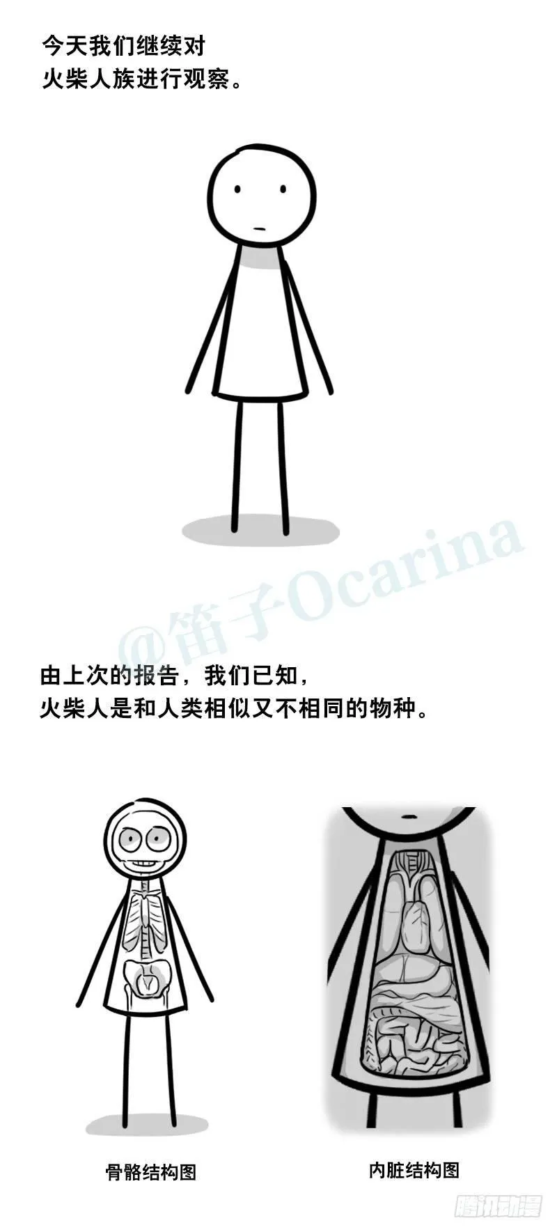 324 火柴人观察报告2 第2页