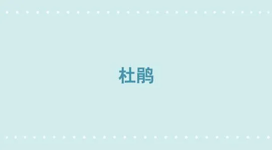 335 杜鹃 第1页