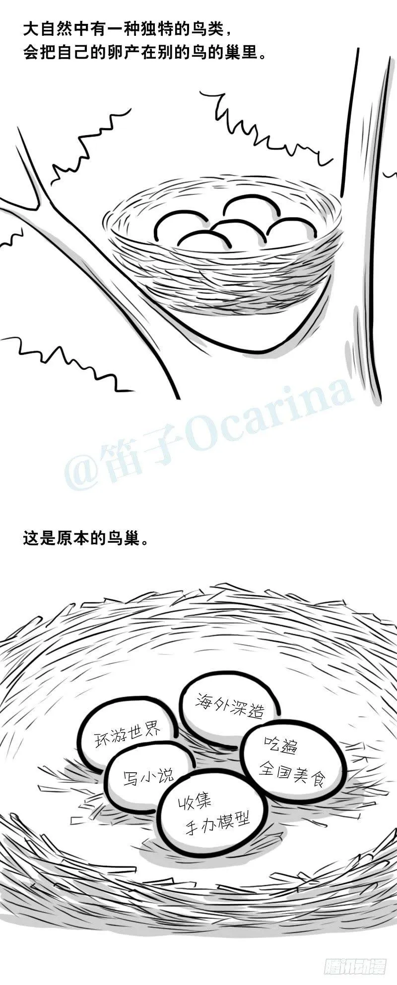 335 杜鹃 第2页