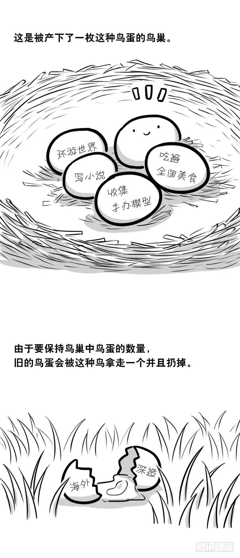 335 杜鹃 第3页