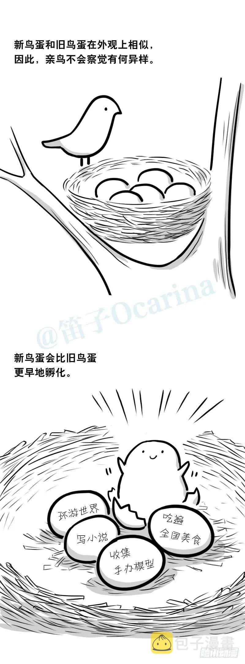 335 杜鹃 第4页