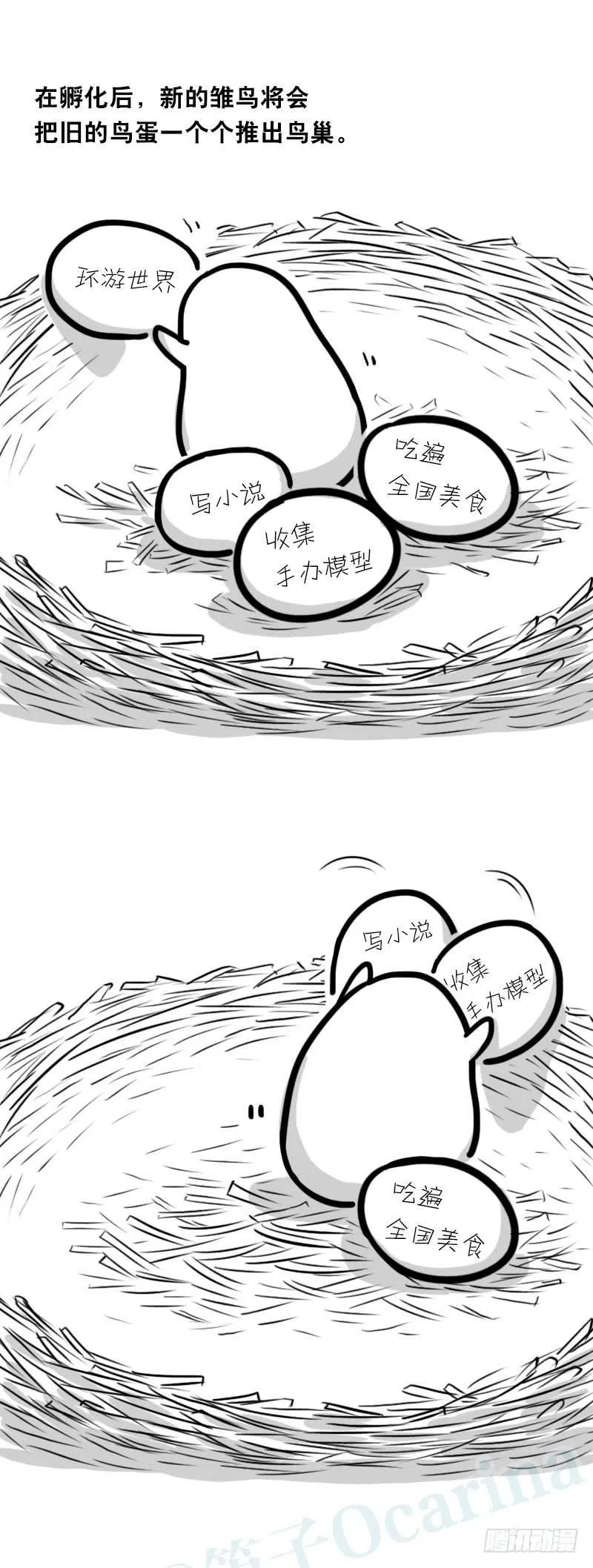 335 杜鹃 第5页