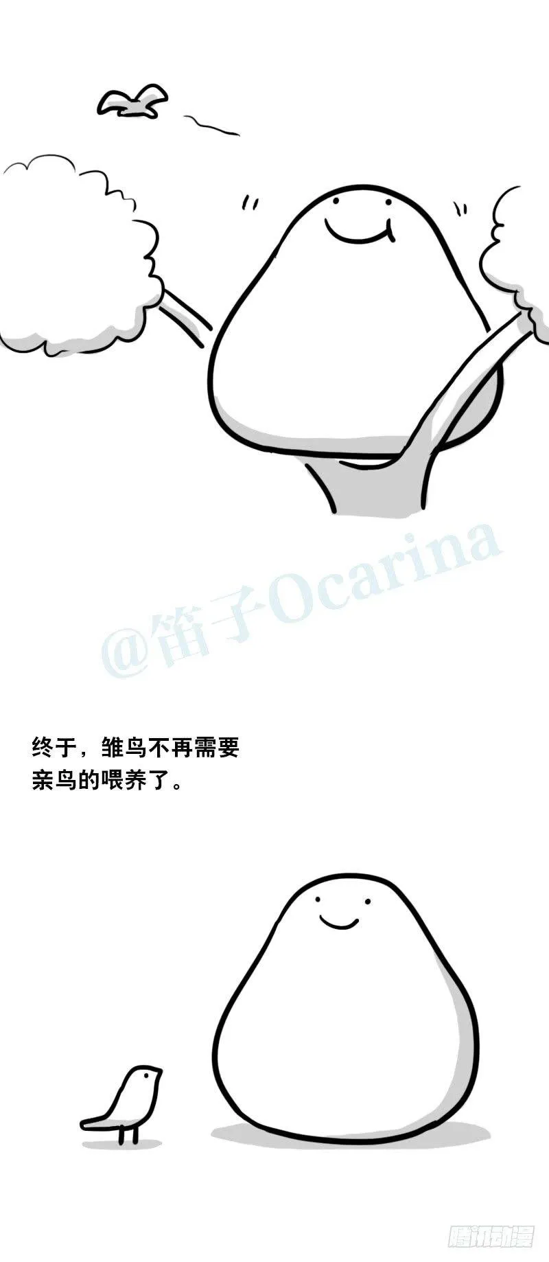 335 杜鹃 第11页