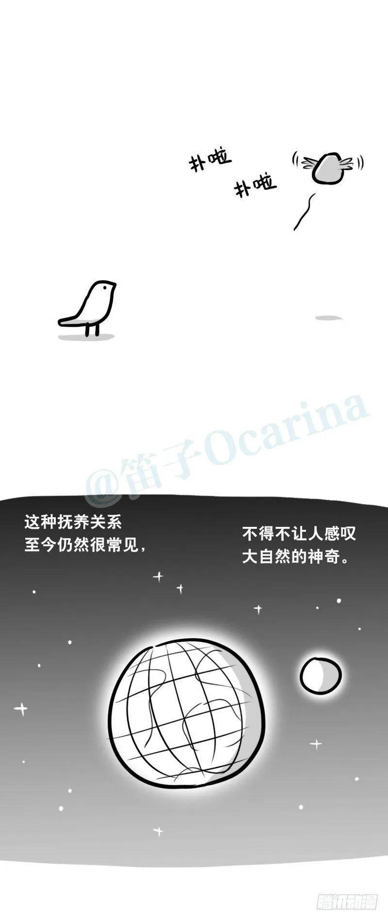 335 杜鹃 第13页