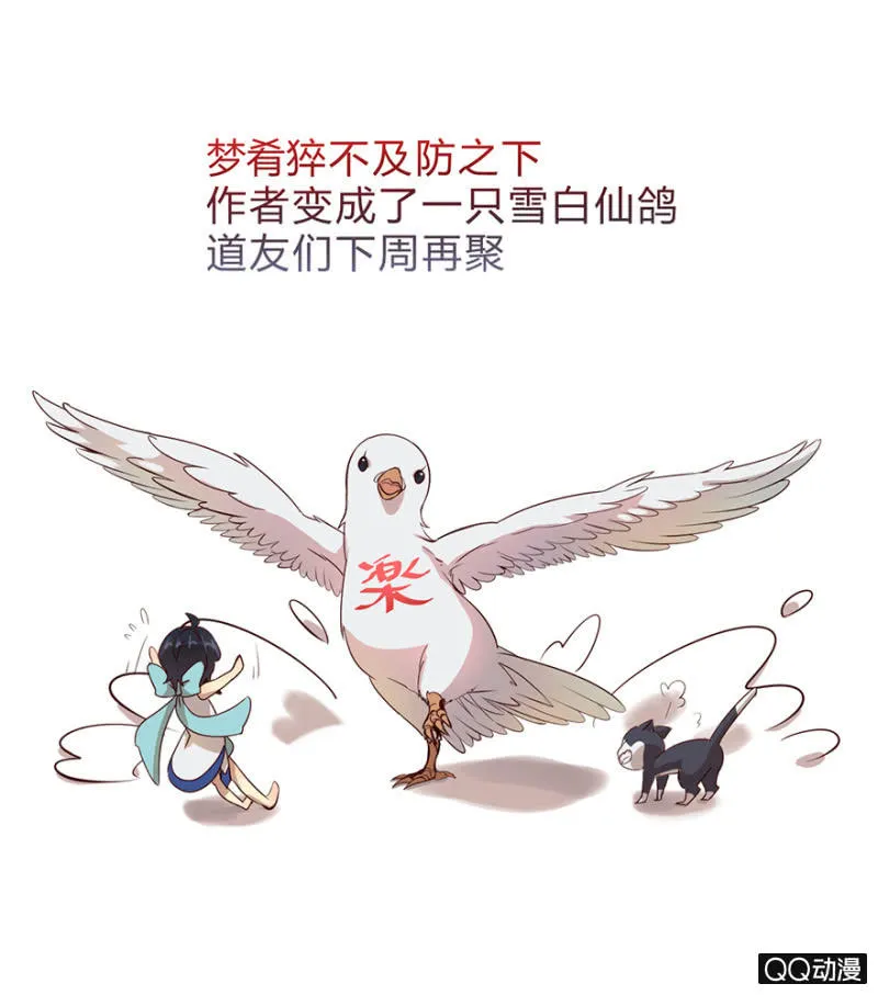 停更通知 第1页