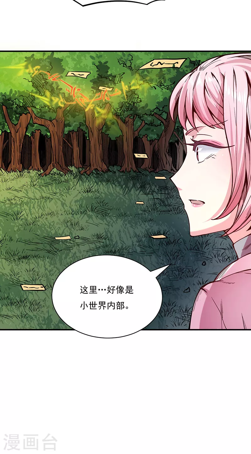 第215话 符阵小世界 第25页