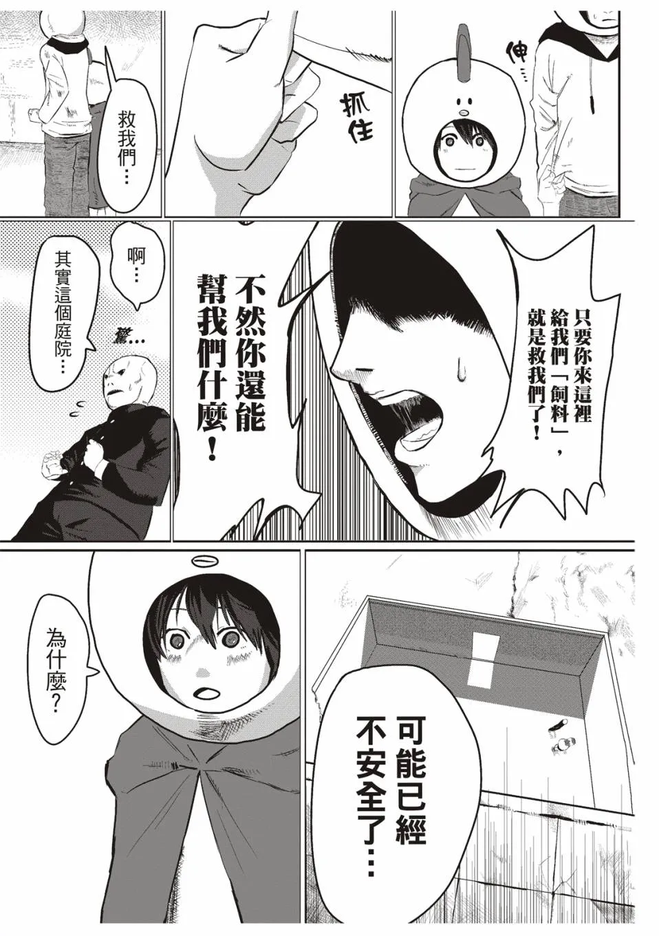 在庭院里曾有两只鸡 第14页