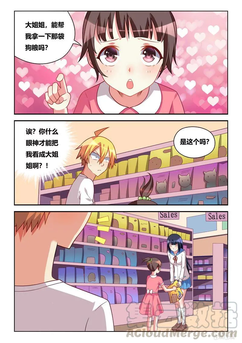237 节哀顺变 第11页