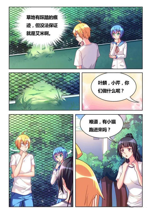 311 艾米捕获装置 第3页