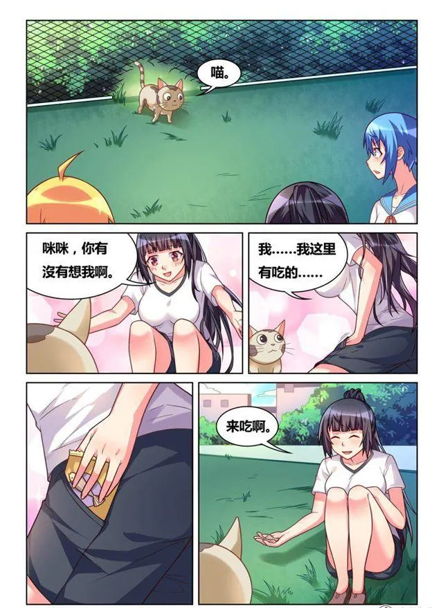 311 艾米捕获装置 第4页