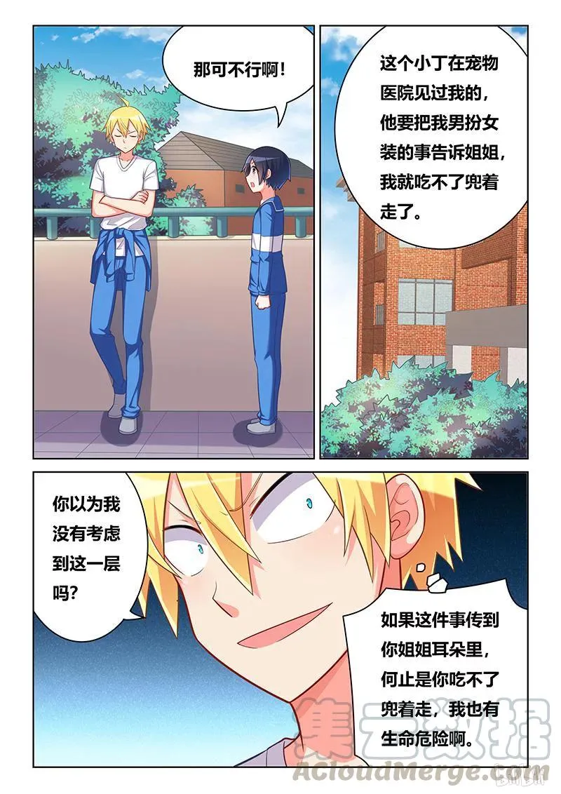 384 手感一流 第7页